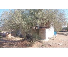 Casa de campo en Venta en LAmpolla, Tarragona