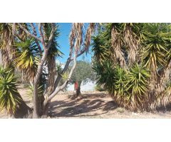 Casa de campo en Venta en LAmpolla, Tarragona