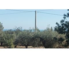 Casa de campo en Venta en LAmpolla, Tarragona