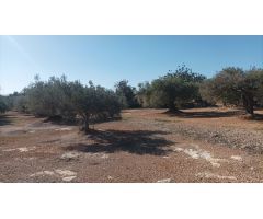 Casa de campo en Venta en LAmpolla, Tarragona
