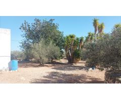 Casa de campo en Venta en LAmpolla, Tarragona