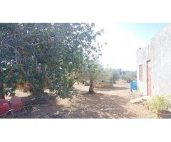 Casa de campo en Venta en LAmpolla, Tarragona