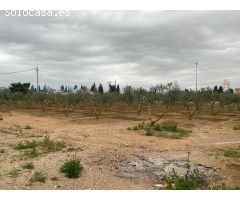 Casa de campo en Venta en Amposta, Tarragona