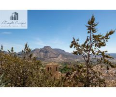 Chalet rural con casi 5000 metros de parcela