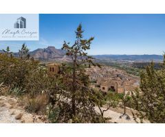 Chalet rural con casi 5000 metros de parcela