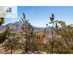 Chalet rural con casi 5000 metros de parcela