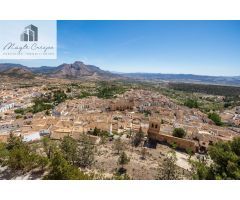 Chalet rural con casi 5000 metros de parcela