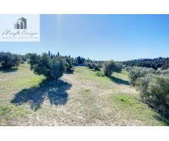 Terreno Las gabias de Secano 5.000 m2 con 50 olivos