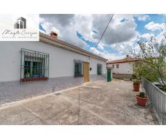 MAGNÍFICA CASA EN UNA PLANTA CON GRAN PARCELA EN UN ENTORNO IDÍLICO ????????????