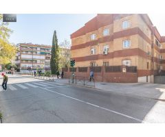 BONITO PISO JUNTO PASEO DE LOS BASILIOS- CENTRO CIUDAD