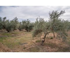 VENTA TERRENO RURAL -- CAMPO GOLF LAS GABIAS
