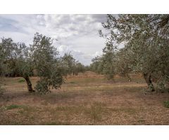 VENTA TERRENO RURAL -- CAMPO GOLF LAS GABIAS