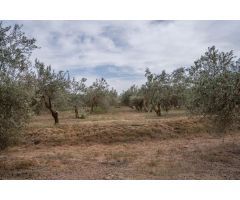 VENTA TERRENO RURAL -- CAMPO GOLF LAS GABIAS