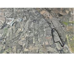 Magnífica parcela con olivos en producción