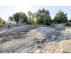 Magnífica parcela con olivos en producción