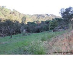 Gran terreno en la urbanización Golf Costa Brava