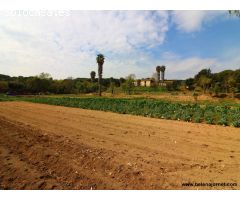 Masía para reformar con un gran terreno en Sant Amanç