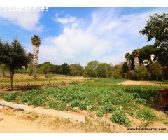 Masía para reformar con un gran terreno en Sant Amanç