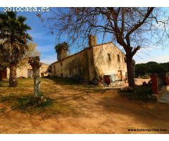 Masía para reformar con un gran terreno en Sant Amanç