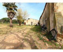 Masía para reformar con un gran terreno en Sant Amanç