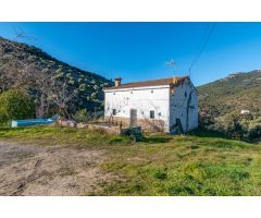 GRAN OPORTUNIDAD FINCA DE OLIVOS EN ALCAUDETE