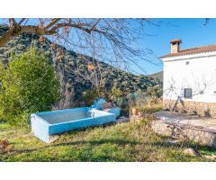 GRAN OPORTUNIDAD FINCA DE OLIVOS EN ALCAUDETE