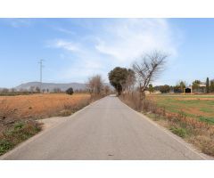 Finca rústica de regadío en Albolote