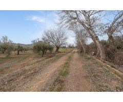 Finca rústica de regadío en Albolote
