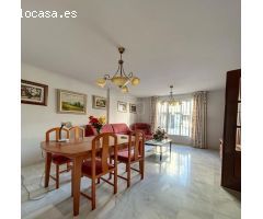 ADOSADO EN DALIA, ARMILLA