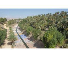 Planta Baja para reformar en zona Puertas Coloradas , Elche.