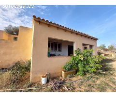 Casa solar con 2 habitaciones, terreno con olivos, aljibe y pozo en Bédar