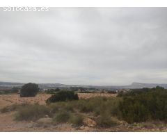 PARCELA DE 26.000 M2 EN ZONA SUGEL