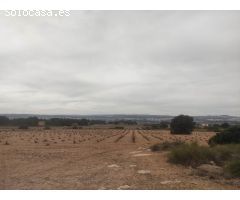 PARCELA DE 26.000 M2 EN ZONA SUGEL