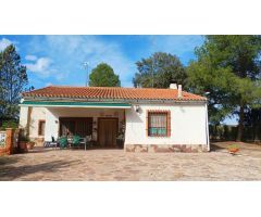 EXCELENTE CHALET EN PARAJE LOS ESPETONES