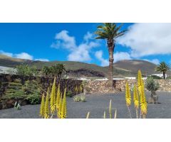 ¡Excepcional casa Canaria emblemática para hacer un negocio en el Norte de la Isla!