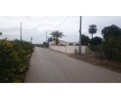 FINCA RUSTICA EN SAN MIGUEL DE SALINAS (ZONA LA MARQUESA)