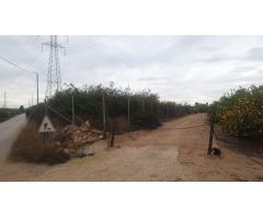FINCA RUSTICA EN SAN MIGUEL DE SALINAS (ZONA LA MARQUESA)