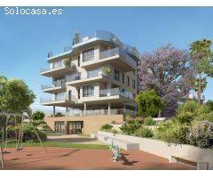 Azure-Allonbay: vida costera mediterránea