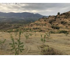 Finca Agrícola en Venta en El Valle, Granada