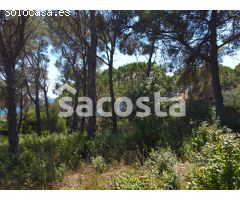 Construye tu Sueño entre los Pinos y Mar en Montgoda, Lloret de Mar