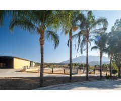 Magnífica finca rustica situada en Mijas.
