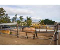 Magnífica finca rustica situada en Mijas.