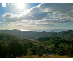 TERRENO PROXIMO USO RESIDENCIAL EN ZONA PINARES DE SAN ANTON (MALAGA)