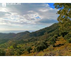 TERRENO PROXIMO USO RESIDENCIAL EN ZONA PINARES DE SAN ANTON (MALAGA)
