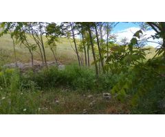 Terreno urbano en Venta en Fuentelencina, Guadalajara