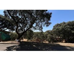 Terreno en Venta Sotolargo Parcela Plana