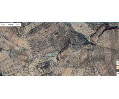Terreno agrario en venta en Deifontes.