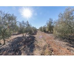OPORTUNIDAD DE FINCA RUSTICA JUNTO PANTANO DE CUBILLAS