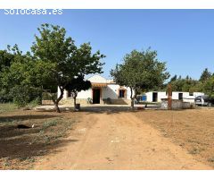 PARCELA DE 2000M2 CON CASA DE UNA PLANTA Y NAVE
