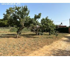 PARCELA DE 2000M2 CON CASA DE UNA PLANTA Y NAVE